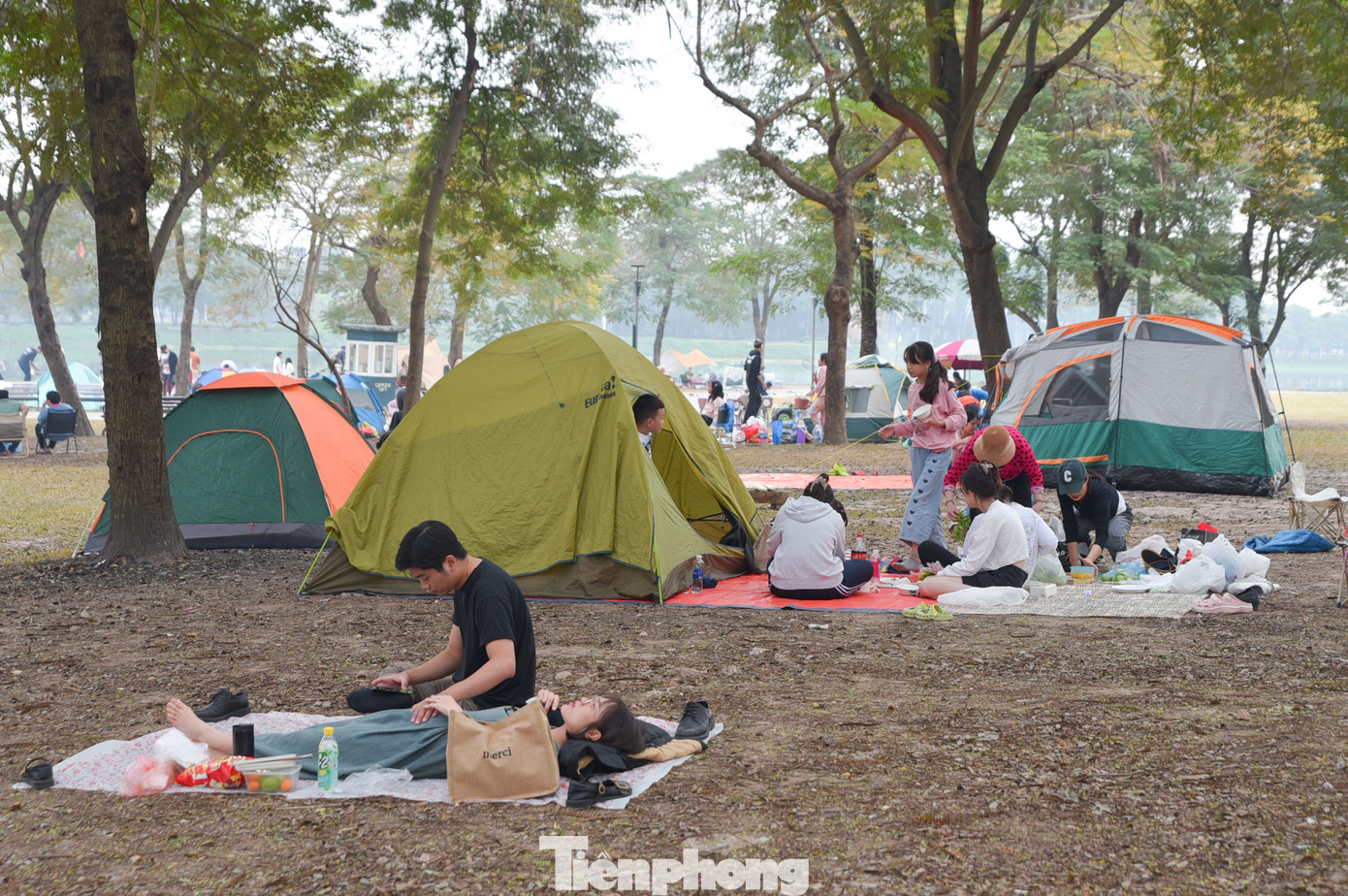 Các gia đình mang theo lều cắm trại, tự do thư giãn, tận hưởng bầu không khí thoáng đãng dưới rừng cây. Các gia đình mang theo lều cắm trại, tự do thư giãn, tận hưởng bầu không khí thoáng đãng dưới rừng cây.