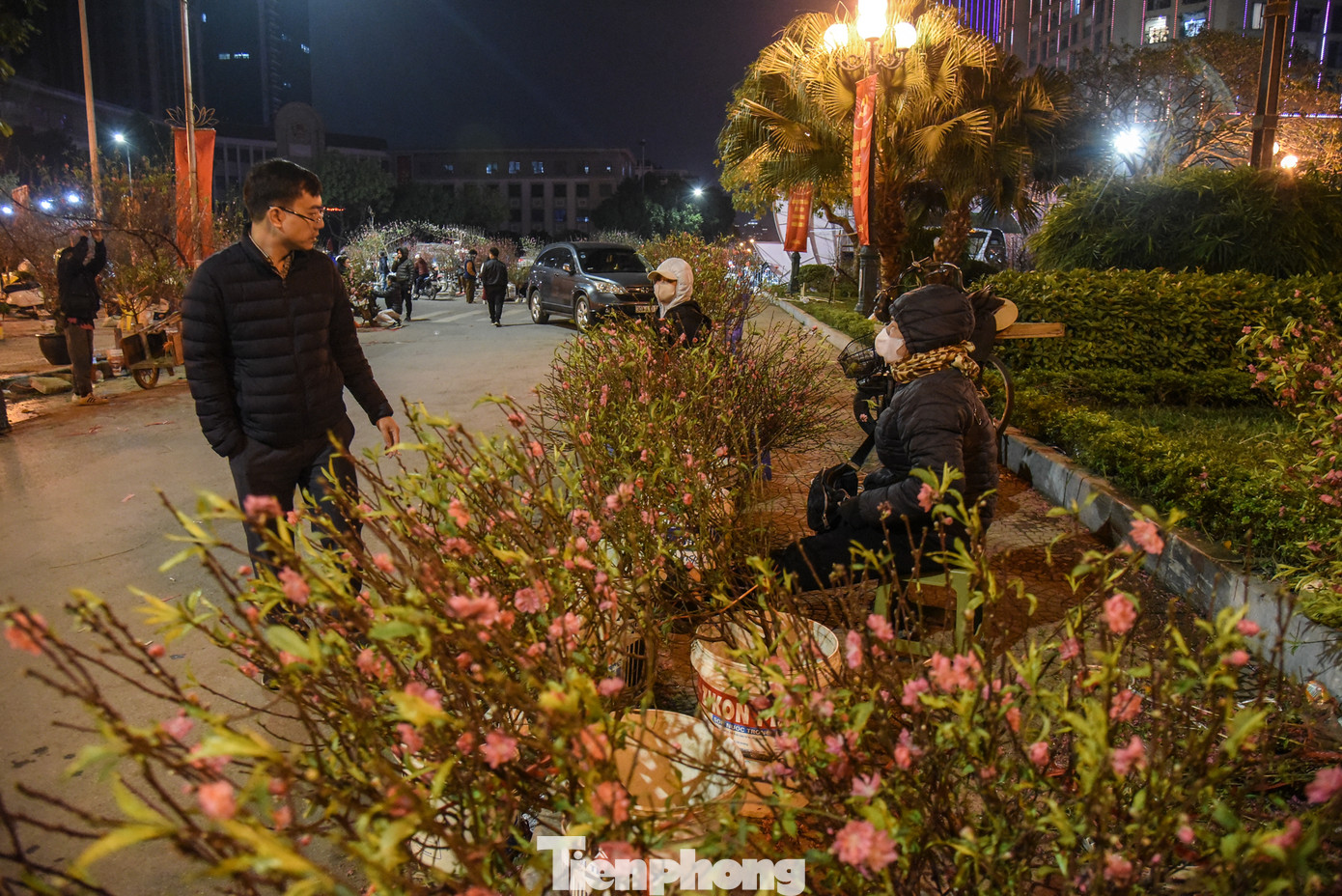 Chiều tối ngày 8/2 (tức 29 Tết) trên nhiều tuyến phố ở Hà Nội như Tố Hữu, Lạc Long Quân... tại các điểm bán hoa, cây cảnh phục vụ Tết Nguyên đán tình trạng ế ẩm, không bóng người mua.