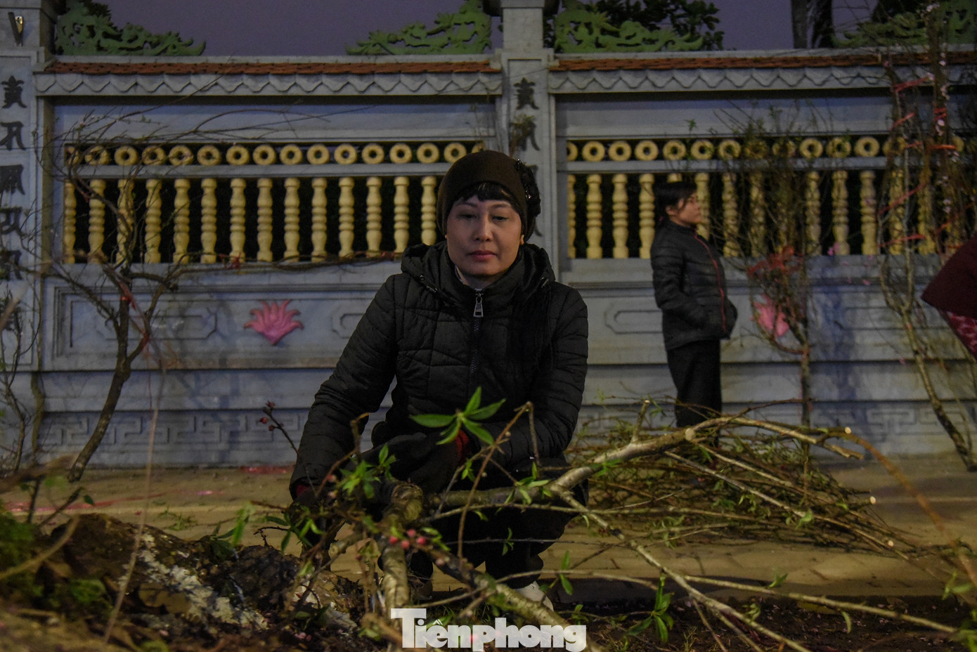 Chị Minh Thu lặng lẽ nhìn cành đào mình bán không được đành vứt bỏ.