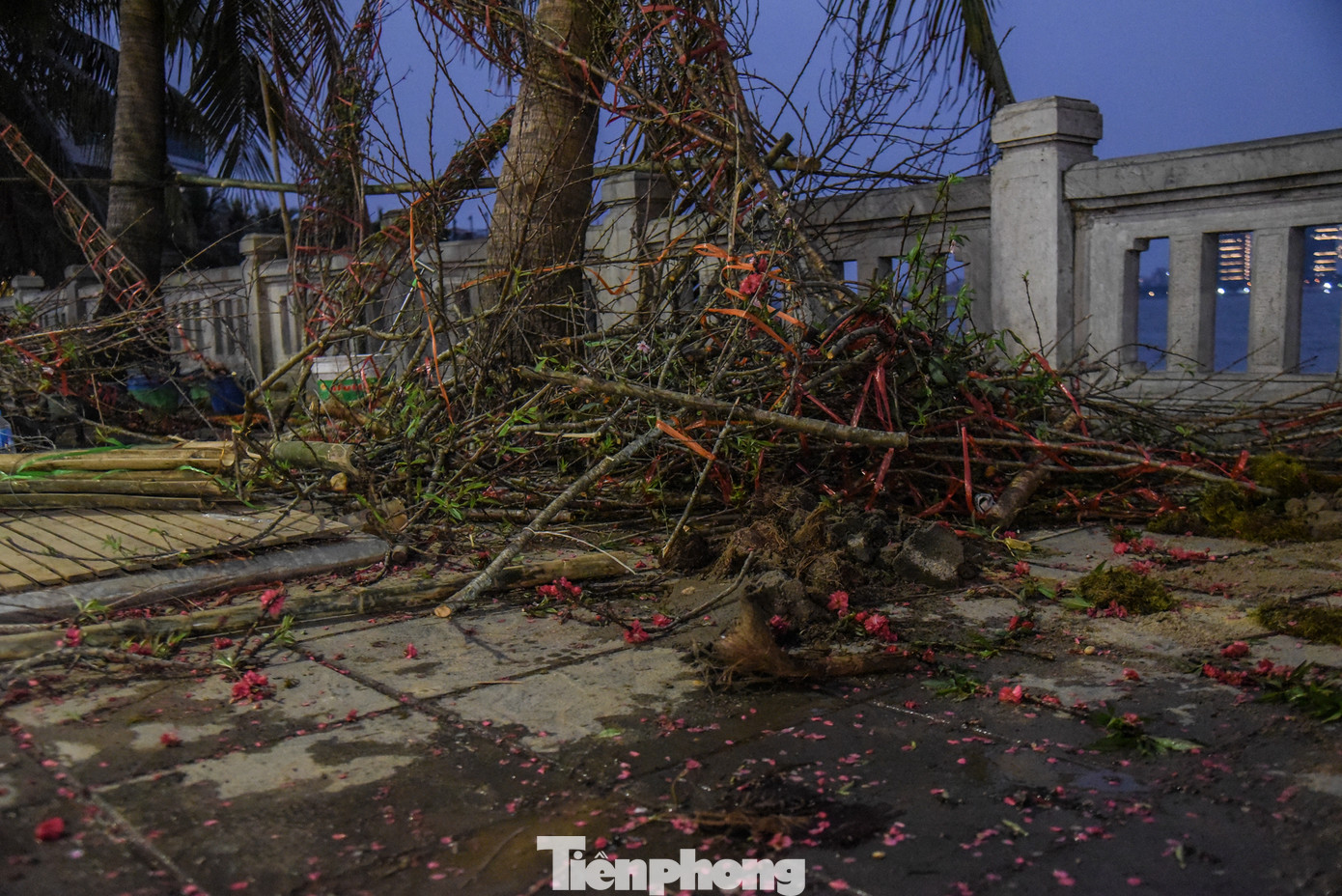 Nhiều tiểu thương đã bỏ đào lại trên vỉa hè.