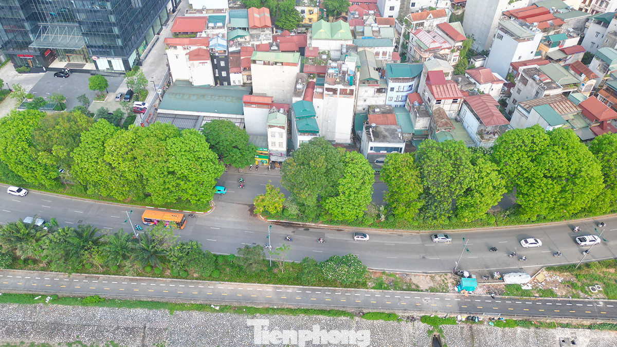 "Đường Láng có nhiều khu dân cư đông đúc và hàng chục chung cư mới... nếu không có hàng cây thì nhiệt độ mặt đường sẽ rất cao và khó khăn cho người di chuyển trên con đường này", anh Lê Viết Hiếu (quận Đống Đa) chia sẻ.
