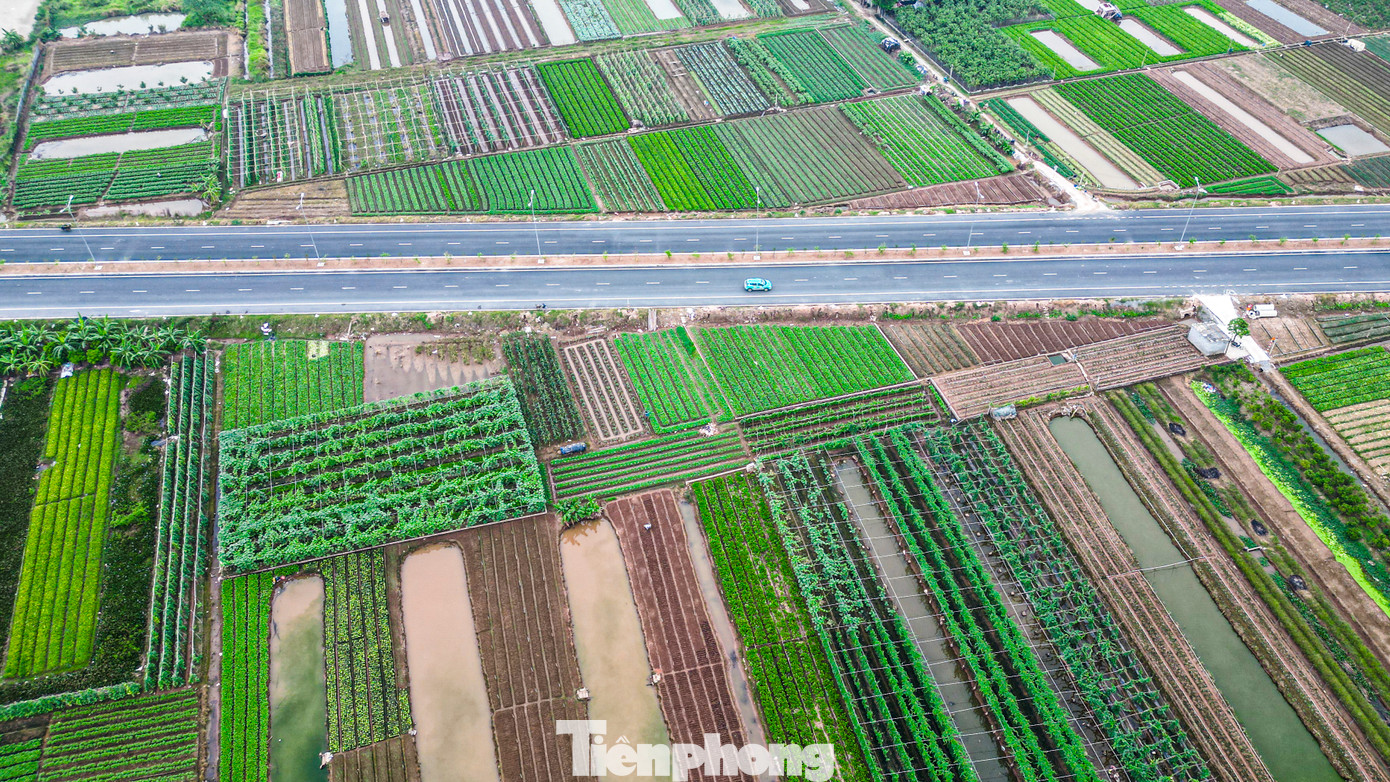 Tuyến đường chạy xuyên qua vựa cây cảnh, vùng trồng rau xanh thuộc các huyện Văn Giang và Yên Mỹ (tỉnh Hưng Yên).