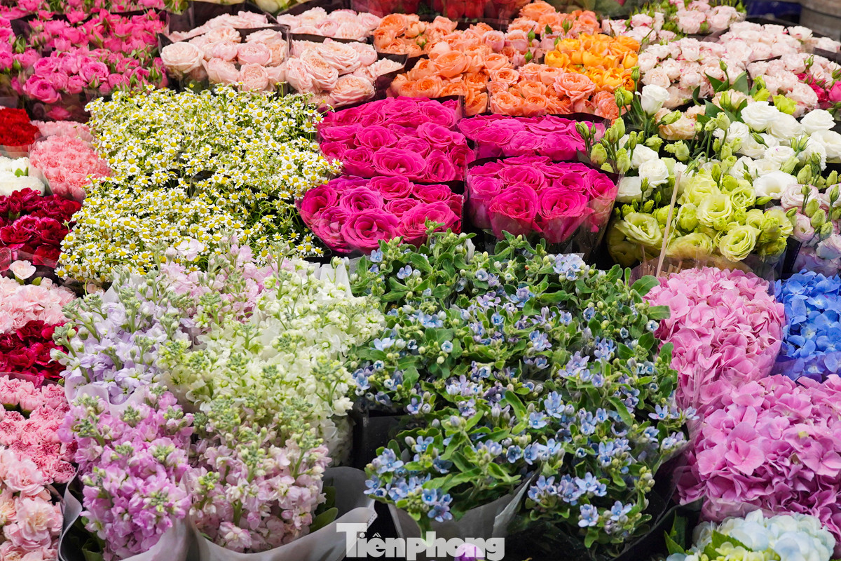 Cũng như mọi năm, chợ hoa Quảng Bá năm nay có đa dạng loại hoa với đủ sắc màu, mức giá để người dân có thể lựa chọn kết hợp tuỳ thuộc vào sở thích.