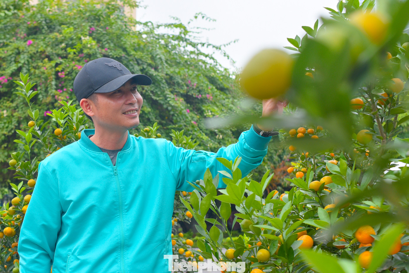 "Mua sớm về ngắm mới đẹp chứ chờ sát Tết mua thì chơi được mấy ngày. Tôi rất thích không khí Hà Nội dịp gần Tết thế này", Anh Tiến Phát (quận Hà Đông) chia sẻ. "Mua sớm về ngắm mới đẹp chứ chờ sát Tết mua thì chơi được mấy ngày. Tôi rất thích không khí Hà Nội dịp gần Tết thế này", Anh Tiến Phát (quận Hà Đông) chia sẻ.