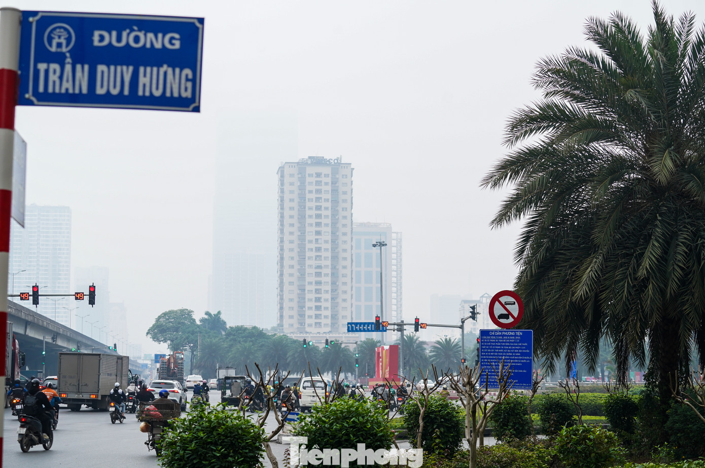 Biển chỉ dẫn tại khu vực nút giao Đại lộ Thăng Long - Trần Duy Hưng bị che khuất bởi cành cây.