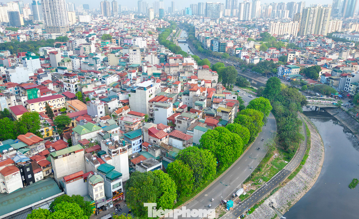 Tại đường Láng, hàng cây xanh là "cứu tinh" cho cả một cung đường, nhất là vào mỗi buổi trưa và chiều nắng oi ả.