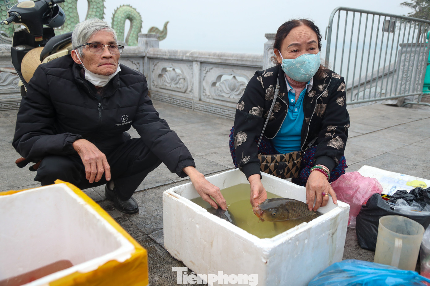 Năm nay gia đình ông Lê Toàn (quận Ba Đình) đã thả ra Hồ Tây 2 con cá chép trứng nặng gần 10kg.