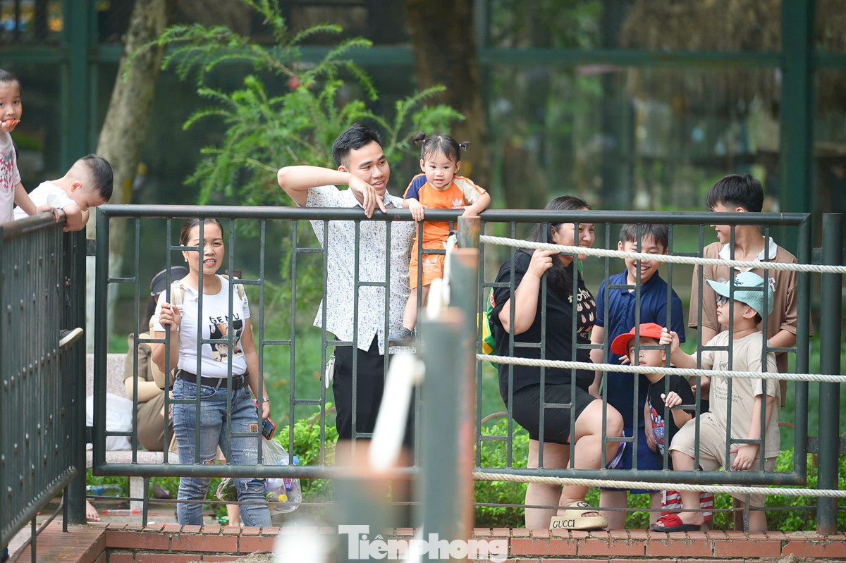 Nhiều em bé được bố mẹ bế, cõng lên để di chuyển giữa dòng người đông đúc.