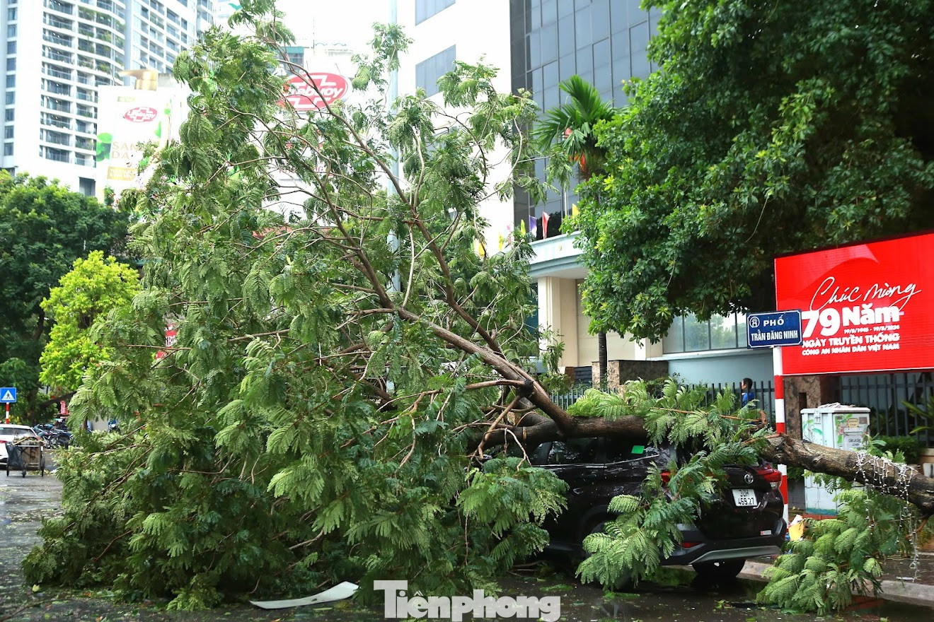Chiếc xe ô tô bị hư hỏng nặng, vỏ xe bị móp méo nghiêm trọng do bị cây đổ đè trúng trên phố Trần Đăng Ninh.