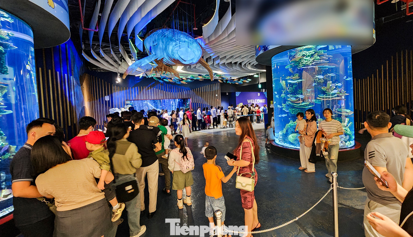 Khu vực thủy cung thu hút đông đảo các gia đình đưa trẻ nhỏ đến tham quan, khám phá thế giới sinh vật biển sinh động. Khu vực thủy cung thu hút đông đảo các gia đình đưa trẻ nhỏ đến tham quan, khám phá thế giới sinh vật biển sinh động.