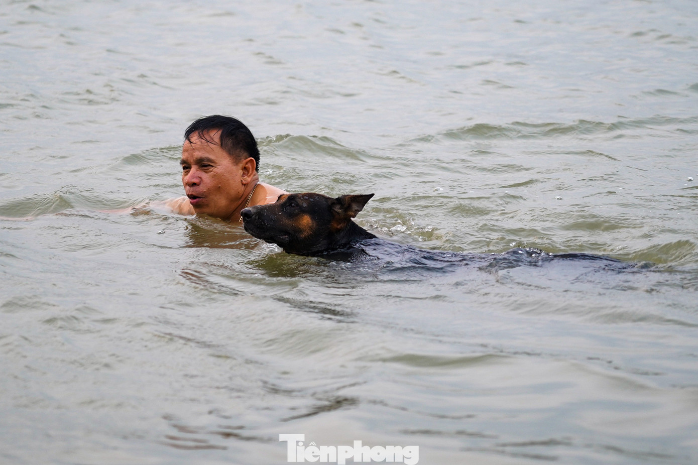 Có người mang cả thú cưng ra bơi để cùng giải nhiệt. Có người mang cả thú cưng ra bơi để cùng giải nhiệt.