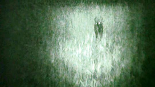 Thức trắng 3 đêm phục kích chụp hình cặp đôi bò tót ảnh 2