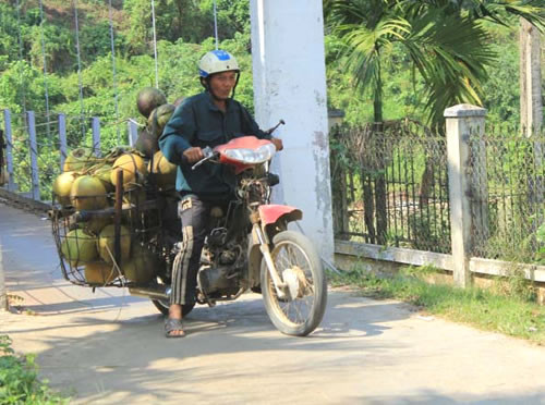 Nghề leo dừa ảnh 1