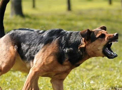 Những tai nạn có thể 'cướp' đi sinh mạng con trẻ ảnh 2