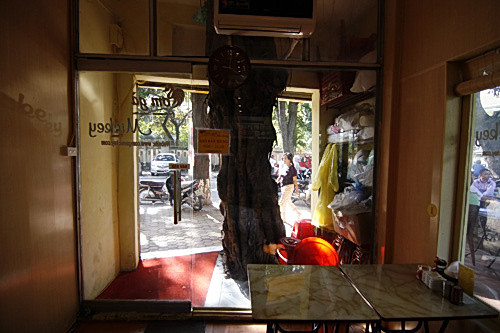 Cây đa có niên đại gần 100 năm ở số nhà 29 trên phố Trần Bình Trọng, cách ngã tư Nguyễn Du chừng 20m nằm gọn phía trong ngôi nhà. Đây là kiểu xây dựng và tận dụng có một không hai ở Thủ đô