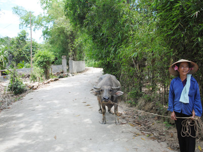 Bà Bùi Thị Thảo, xã Tân Vinh cho biết dự án thì nhiều nhưng người dân không được hưởng lợi