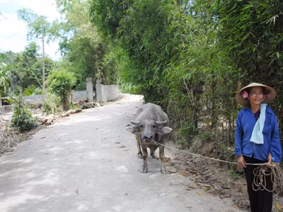 Bà Bùi Thị Thảo, xã Tân Vinh cho biết dự án thì nhiều nhưng người dân không được hưởng lợi