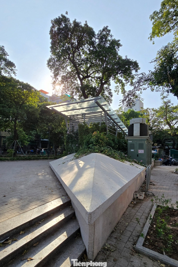 Một số người dân cảm nhận được sự mát mẻ, yên bình, trong lành khi dạo chơi trong vườn hoa vừa thư giãn vừa tập thể dục.