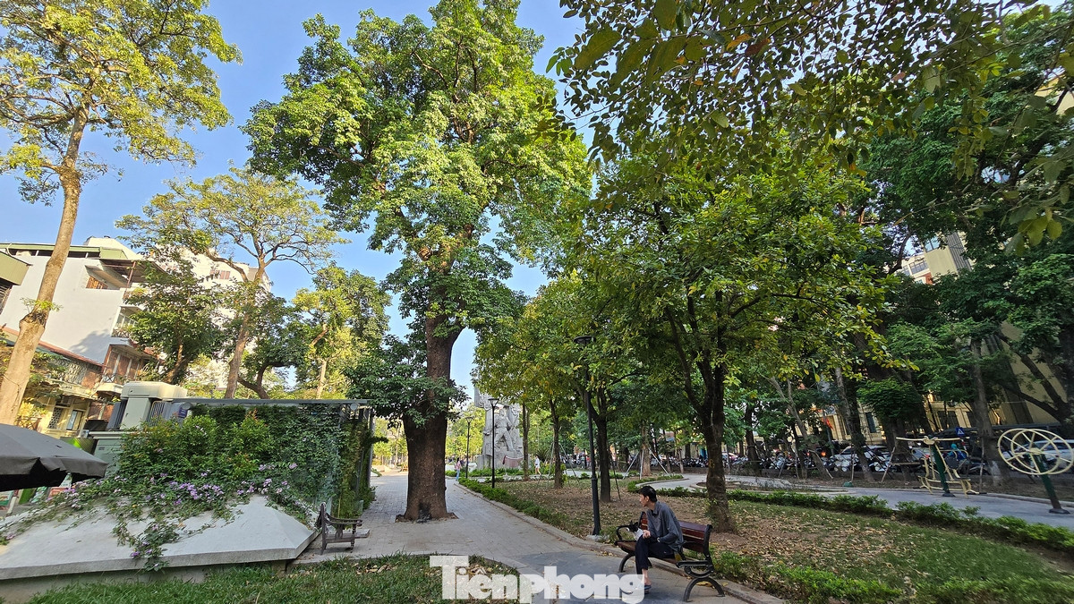 Vườn hoa Vạn Xuân có diện tích khoảng 4.200m2, hai mặt giáp đường Phan Đình Phùng, phố Hòe Nhai và đường Quán Thánh (quận Ba Đình, Hà Nội), mặt còn lại là ngã tư Hàng Cót - Hàng Đậu (quận Hoàn Kiếm).