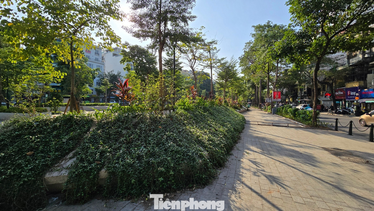 Tuy nhiên sau hơn nửa năm đi vào hoạt động, vườn hoa Vạn Xuân (vườn hoa Hàng Đậu) trở nên thân thiện hơn với không gian xanh mát; những khối bê tông chậu hoa với hàng ghế đá trải dài đã trở thành địa chỉ quen thuộc của nhiều người.