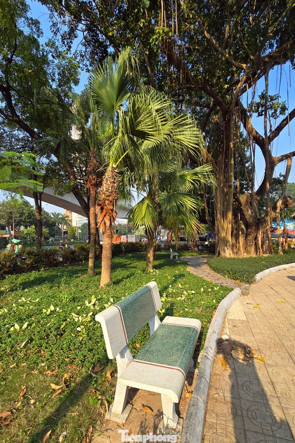 Hệ thống ghế đá, đường dạo xung quanh công viên được thay mới toàn bộ.