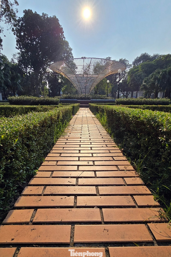 Hệ thống ghế đá, đường dạo xung quanh công viên được thay mới toàn bộ.