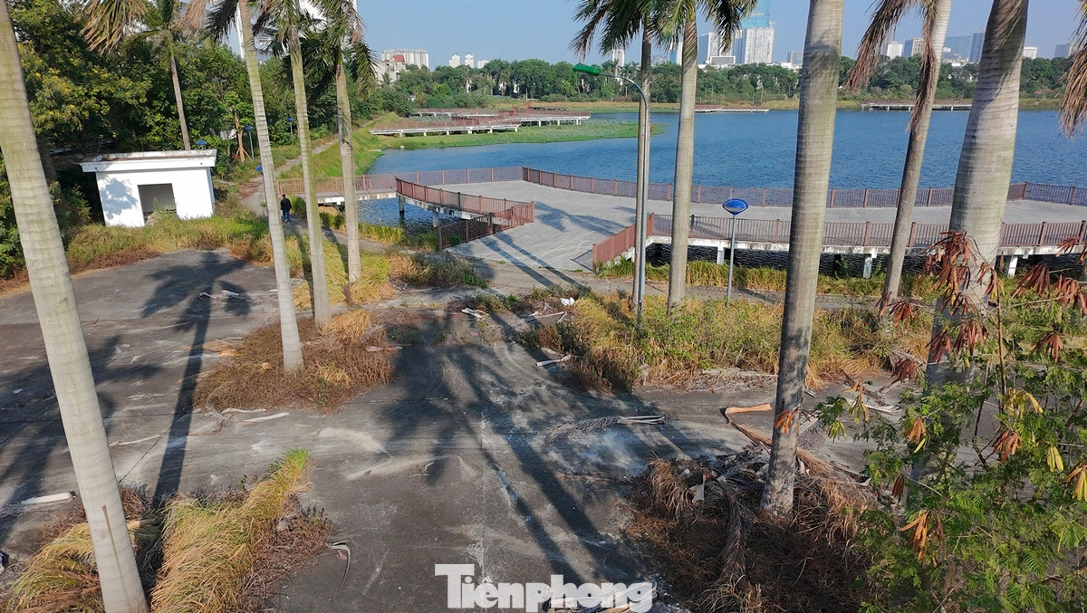 Gần như các hạng mục trong dự án công viên hồ Phùng Khoang đang bị cỏ dại bủa vây, hoang hóa kéo dài nhiều năm nay.