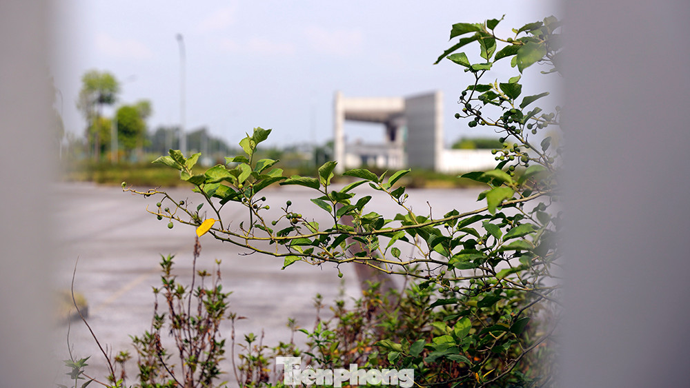 Bệnh viện Bạch Mai cơ sở 2 đang bị bỏ hoang, xuống cấp