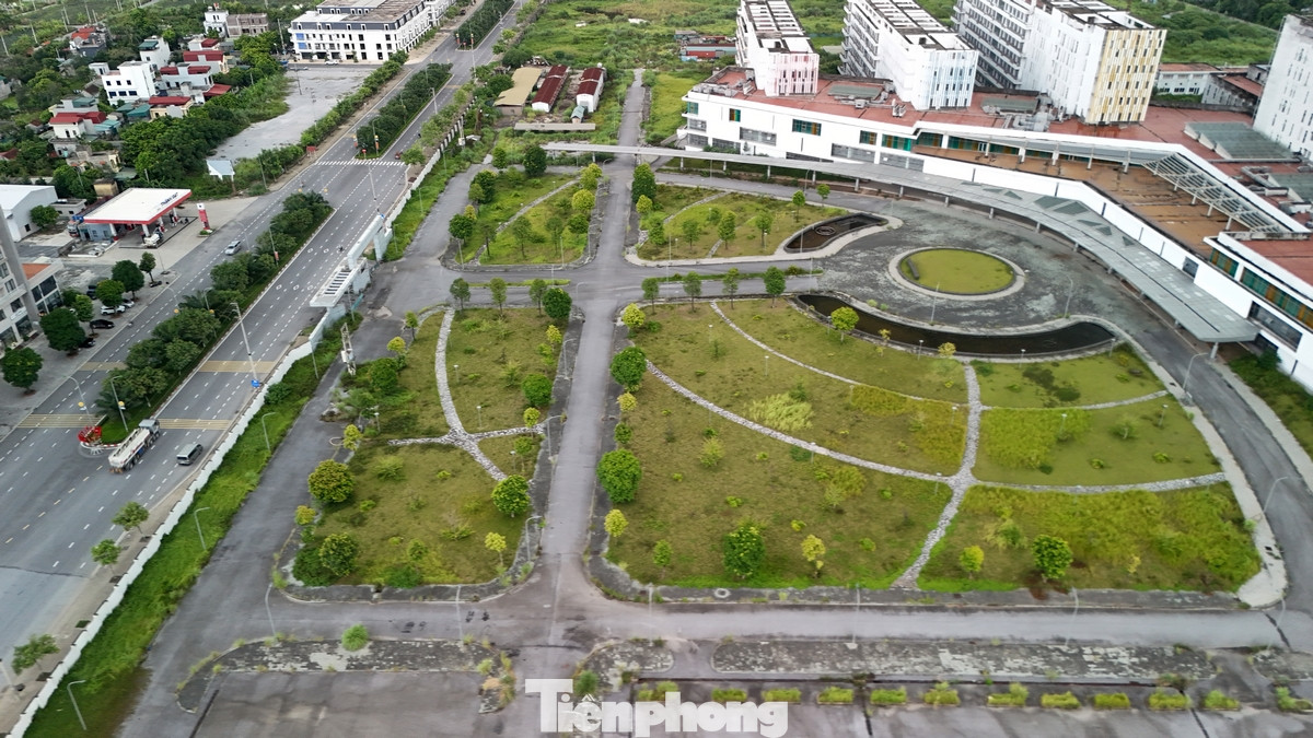 Hiện nay, phần lớn diện tích đất của bệnh viện đang bị xâm lấn bởi cỏ dại. Quá trình hoang hóa đang diễn ra nhanh chóng.