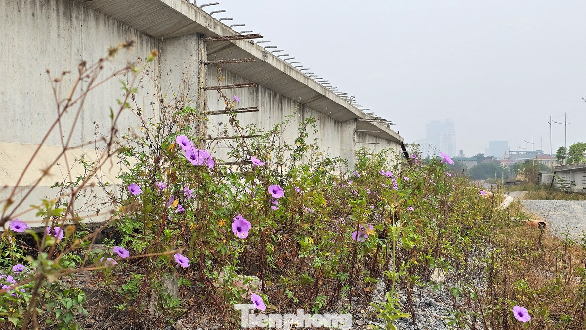 Những dầm cầu đã được đúc và chờ đợi được lắp đặt tại điểm Cầu Noi (phường Cổ Nhuế, quận Bắc Từ Liêm).