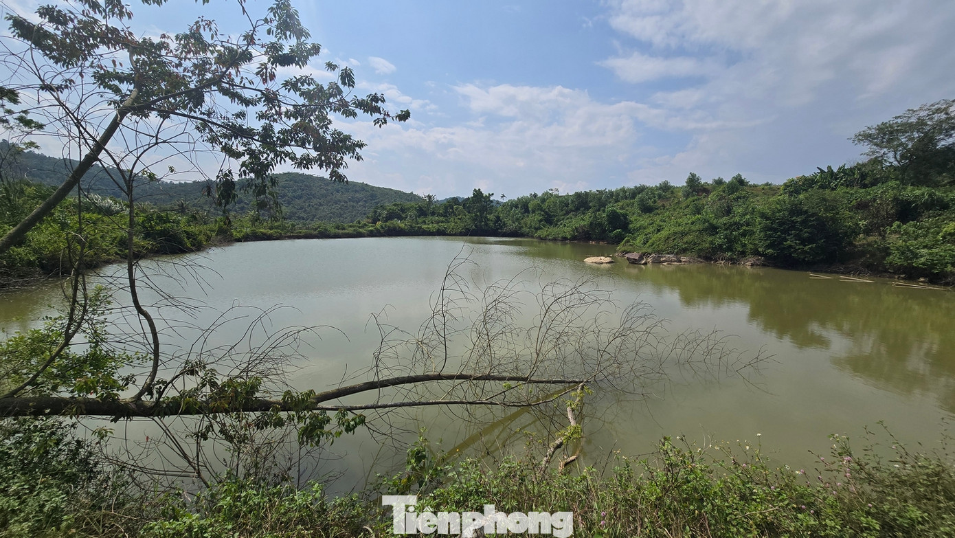 Hồ Đầm Bài không chỉ là nguồn cung cấp nước sạch mà còn là môi trường sống của nhiều loài động vật và thực vật quý hiếm.