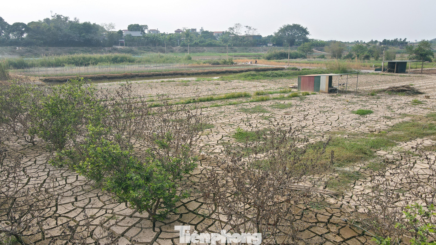 Tuyến đường dẫn từ vành đai 3,5 tới cầu Ngọc Hồi là 9.9km, chiều rộng 80m. Tuyến đường dự kiến sẽ có 6 làn xe chạy chính, rộng khoảng 25m, ở giữa là dải phân cách 2m. Hai bên đường gom rộng 21m, bên cạnh đường gom và đường chính là dải đất 8m, mỗi vỉa hè sẽ rộng 8m. Tuyến đường dẫn từ vành đai 3,5 tới cầu Ngọc Hồi là 9.9km, chiều rộng 80m. Tuyến đường dự kiến sẽ có 6 làn xe chạy chính, rộng khoảng 25m, ở giữa là dải phân cách 2m. Hai bên đường gom rộng 21m, bên cạnh đường gom và đường chính là dải đất 8m, mỗi vỉa hè sẽ rộng 8m.