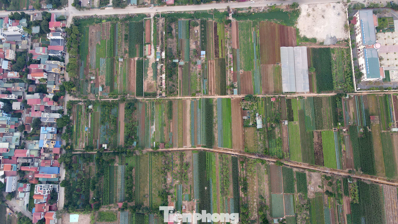 Xung quanh vị trí cầu Ngọc Hồi được quy hoạch rất nhiều dự án khu đô thị lớn. Xung quanh vị trí cầu Ngọc Hồi được quy hoạch rất nhiều dự án khu đô thị lớn.