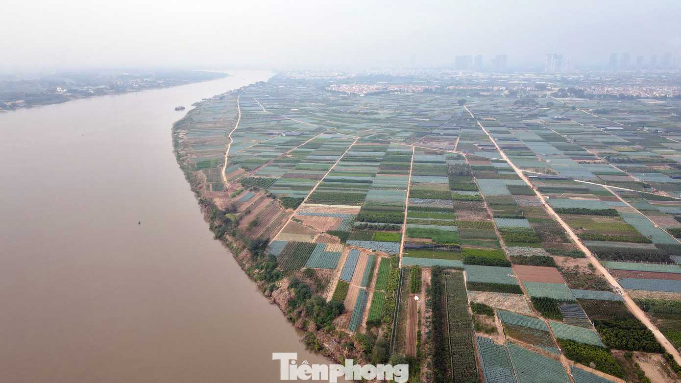 Hiện nay, khu đất trùng với vị trí thi công dự án cầu Ngọc Hồi ở phía Tây sông Hồng đã được đưa vào kế hoạch sử dụng cấp huyện. Hiện nay, khu đất trùng với vị trí thi công dự án cầu Ngọc Hồi ở phía Tây sông Hồng đã được đưa vào kế hoạch sử dụng cấp huyện.