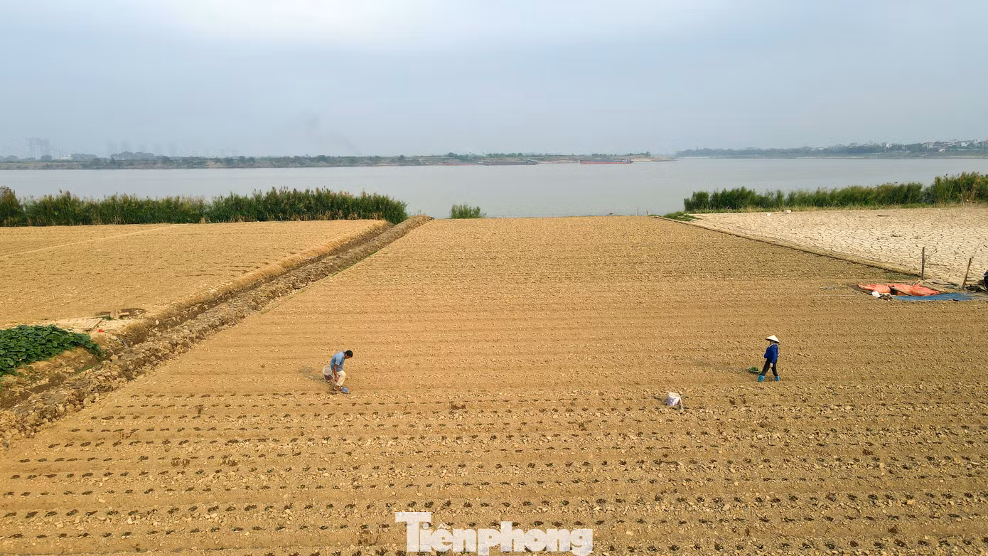 Tuyến đường dẫn từ vành đai 3,5 tới cầu Ngọc Hồi là 9.9km, chiều rộng 80m. Tuyến đường dự kiến sẽ có 6 làn xe chạy chính, rộng khoảng 25m, ở giữa là dải phân cách 2m. Hai bên đường gom rộng 21m, bên cạnh đường gom và đường chính là dải đất 8m, mỗi vỉa hè sẽ rộng 8m.