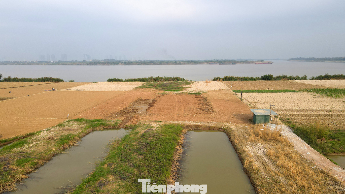 Tuyến đường dẫn từ vành đai 3,5 tới cầu Ngọc Hồi là 9.9km, chiều rộng 80m. Tuyến đường dự kiến sẽ có 6 làn xe chạy chính, rộng khoảng 25m, ở giữa là dải phân cách 2m. Hai bên đường gom rộng 21m, bên cạnh đường gom và đường chính là dải đất 8m, mỗi vỉa hè sẽ rộng 8m. Tuyến đường dẫn từ vành đai 3,5 tới cầu Ngọc Hồi là 9.9km, chiều rộng 80m. Tuyến đường dự kiến sẽ có 6 làn xe chạy chính, rộng khoảng 25m, ở giữa là dải phân cách 2m. Hai bên đường gom rộng 21m, bên cạnh đường gom và đường chính là dải đất 8m, mỗi vỉa hè sẽ rộng 8m.