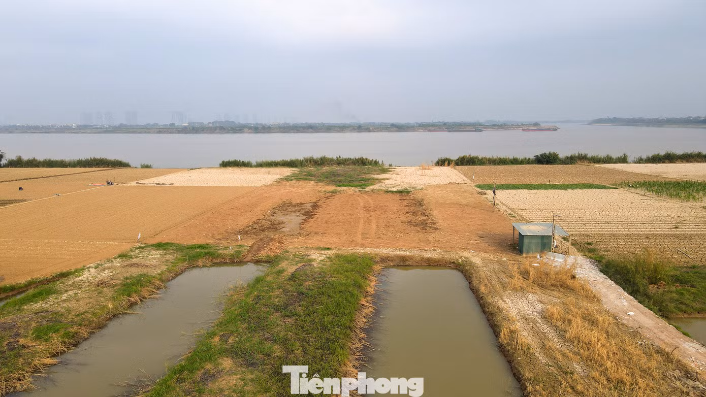Tuyến đường dẫn từ vành đai 3,5 tới cầu Ngọc Hồi là 9.9km, chiều rộng 80m. Tuyến đường dự kiến sẽ có 6 làn xe chạy chính, rộng khoảng 25m, ở giữa là dải phân cách 2m. Hai bên đường gom rộng 21m, bên cạnh đường gom và đường chính là dải đất 8m, mỗi vỉa hè sẽ rộng 8m.