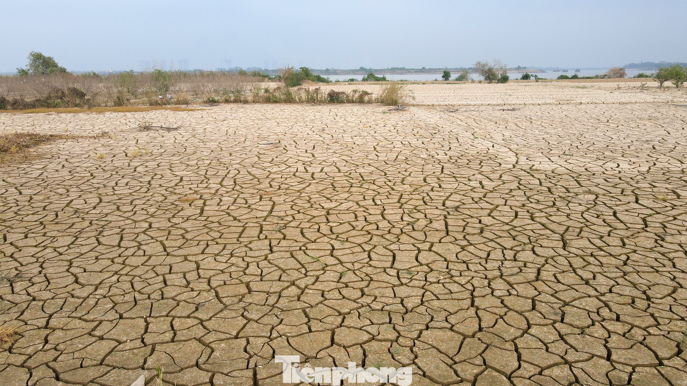 Tuyến đường dẫn từ vành đai 3,5 tới cầu Ngọc Hồi là 9.9km, chiều rộng 80m. Tuyến đường dự kiến sẽ có 6 làn xe chạy chính, rộng khoảng 25m, ở giữa là dải phân cách 2m. Hai bên đường gom rộng 21m, bên cạnh đường gom và đường chính là dải đất 8m, mỗi vỉa hè sẽ rộng 8m. Tuyến đường dẫn từ vành đai 3,5 tới cầu Ngọc Hồi là 9.9km, chiều rộng 80m. Tuyến đường dự kiến sẽ có 6 làn xe chạy chính, rộng khoảng 25m, ở giữa là dải phân cách 2m. Hai bên đường gom rộng 21m, bên cạnh đường gom và đường chính là dải đất 8m, mỗi vỉa hè sẽ rộng 8m.