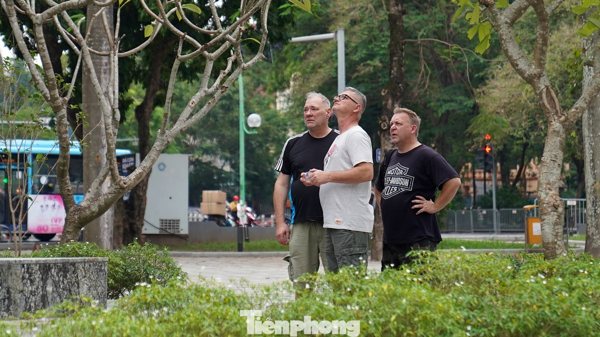 Du khách nước ngoài thăm quan vườn hoa.