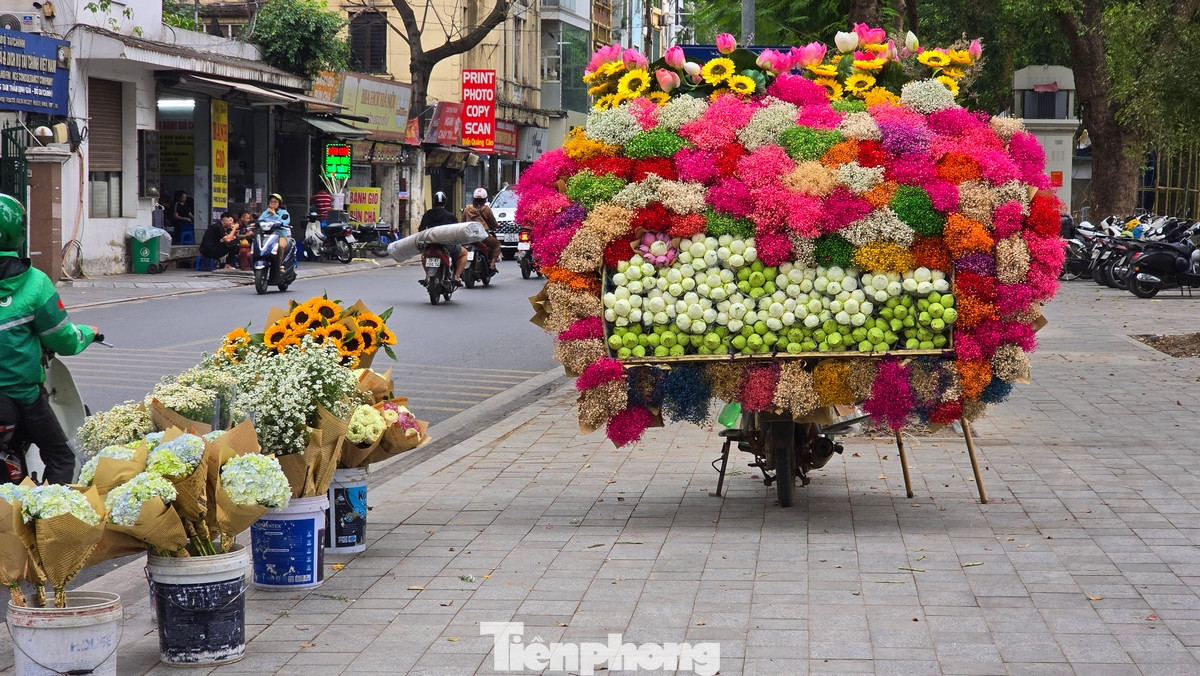 Những xe hoa đầy màu sắc tô điểm thêm cho khu vực vườn hoa Lý Tự Trọng thêm phần rực rỡ những ngày cuối mùa Thu.