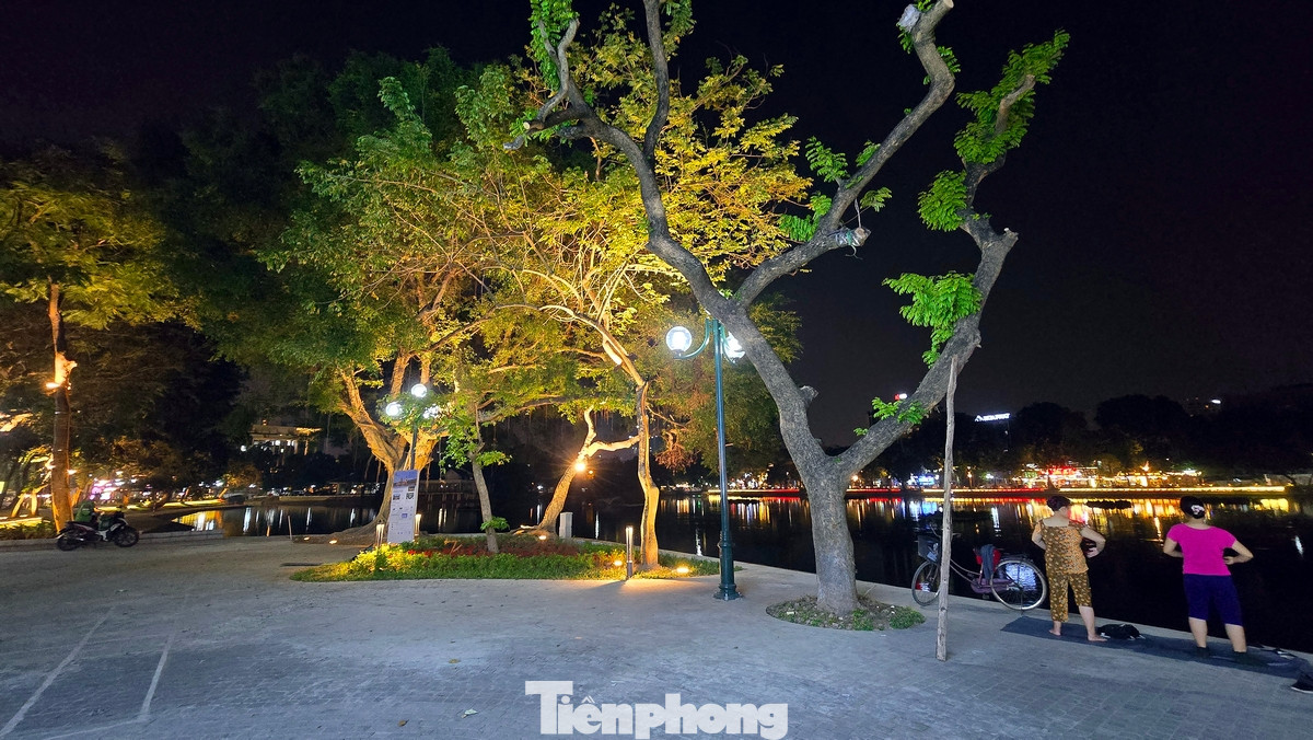 Ngoài việc giữ lại toàn bộ cây xanh, cây tầng cao, cây lâu năm đang tồn tại, một số lớp cây tầm thấp, cây cỏ viền, cây tầm trung… được bổ sung để mở rộng và tổ chức lại hệ thống không gian xanh quanh hồ Thiền Quang.