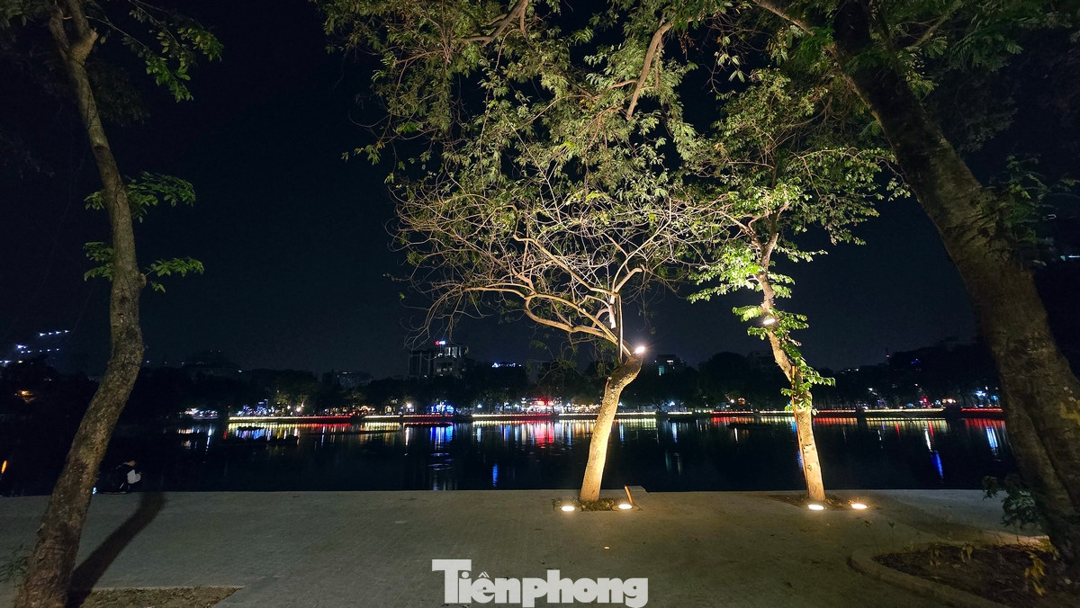 Ngoài việc giữ lại toàn bộ cây xanh, cây tầng cao, cây lâu năm đang tồn tại, một số lớp cây tầm thấp, cây cỏ viền, cây tầm trung… được bổ sung để mở rộng và tổ chức lại hệ thống không gian xanh quanh hồ Thiền Quang.