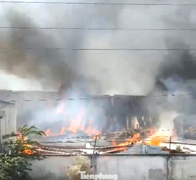 Mái tôn nhà xưởng đổ sập Mái tôn nhà xưởng đổ sập