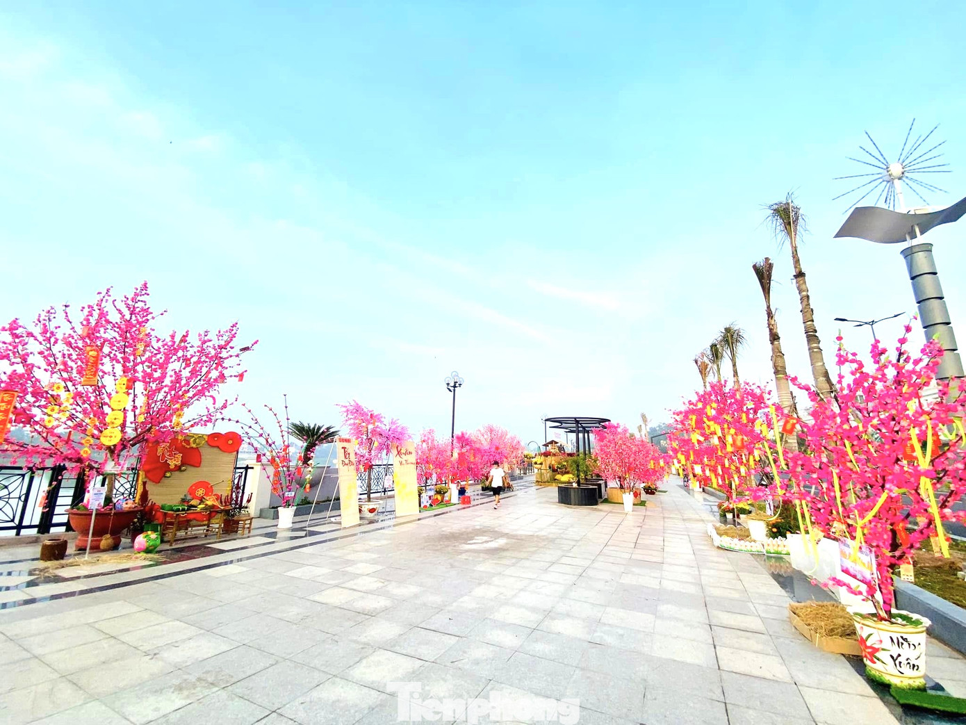 Sắc xuân trên phố đi bộ Bạch Đằng (TP Thủ Dầu Một, Bình Dương) Sắc xuân trên phố đi bộ Bạch Đằng (TP Thủ Dầu Một, Bình Dương)