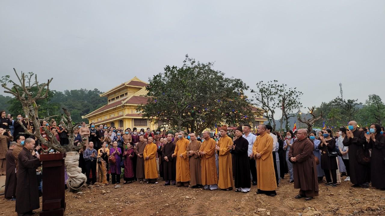 Hàng ngàn cây xanh trong khuôn viên Học viện Phật giáo Việt Nam tại Hà Nội