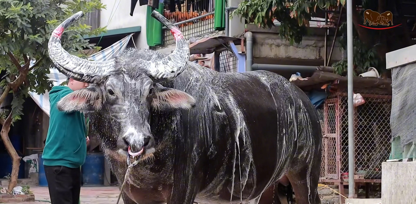 "Ông Cầu" số 17 của thôn Dân Chủ. Ảnh: BTC