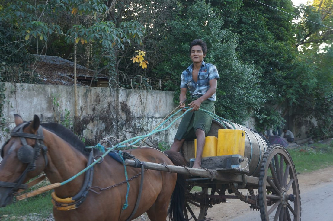 Chở nước về nhà (xe ngựa)