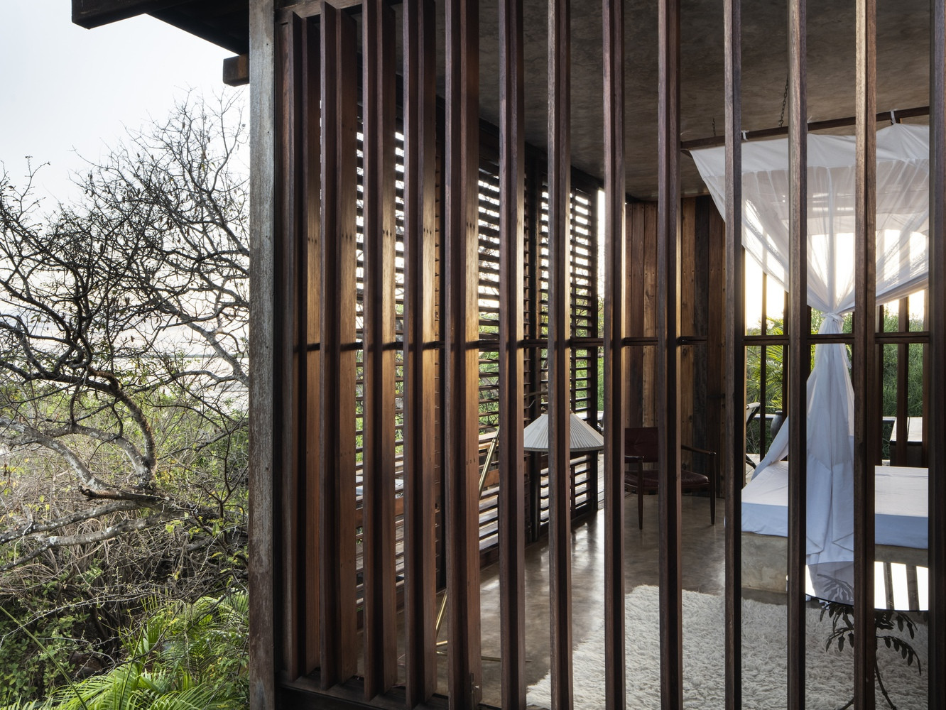 Các phòng được nâng cao ngang tán cây, được che chắn bằng mái bê tông phẳng, cách nhiệt lớp ngoài, giúp các phòng có bóng mát suốt cả ngày.