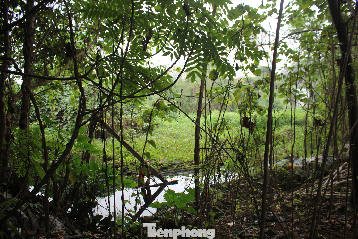 Được biết, tính đến thời điểm ngày 30/9/2023, Constrexim Holdings đã “rót” 486 tỷ đồng chi phí dở dang vào dự án Tòa nhà hỗn hợp Constrexim Complex (A1). Được biết, tính đến thời điểm ngày 30/9/2023, Constrexim Holdings đã “rót” 486 tỷ đồng chi phí dở dang vào dự án Tòa nhà hỗn hợp Constrexim Complex (A1).