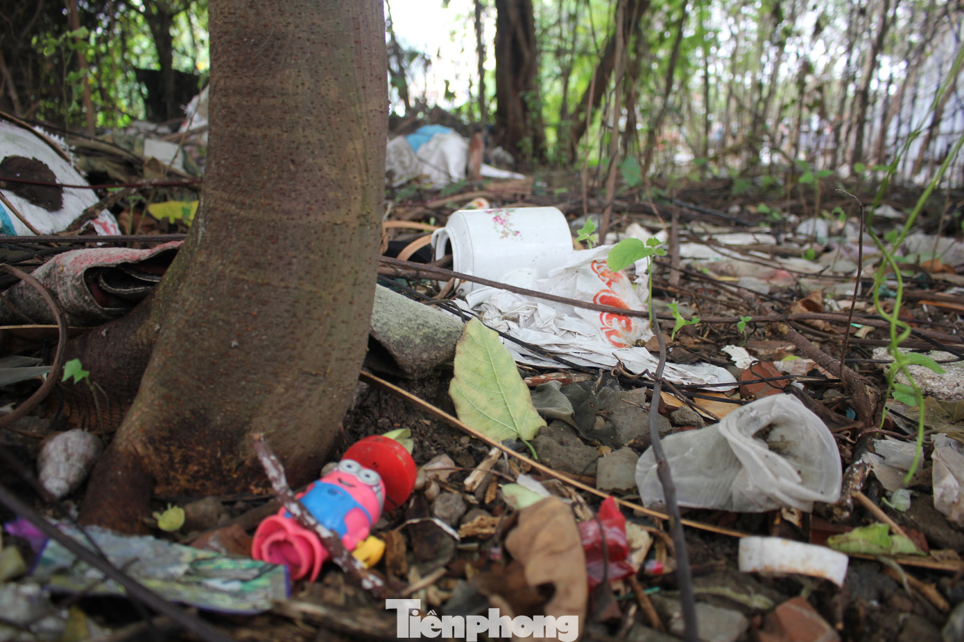 Ghi nhận thực tế, hiện tại toàn bộ dự án bị cây cối, cỏ dại bao phủ. Ghi nhận thực tế, hiện tại toàn bộ dự án bị cây cối, cỏ dại bao phủ.